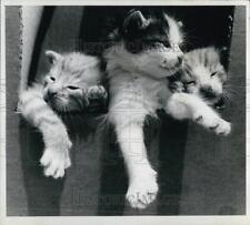 1975 press photo for sale  Memphis
