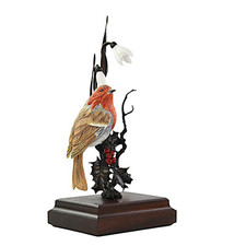 David fryer bird for sale  DUNDEE