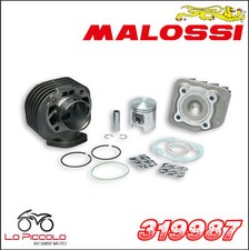 Malossi gruppo termico usato  Palermo