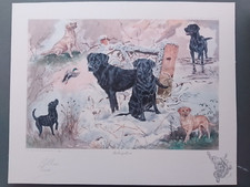 Gillian carris signed for sale  YORK