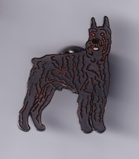 Rare pins pin d'occasion  Ménéac