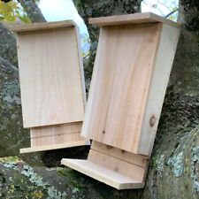 Set wooden bat for sale  POOLE