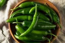 Premium hot serrano for sale  Otto