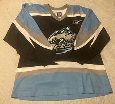 Alaska aces jersey for sale  Parker