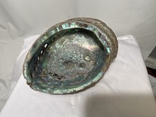 Super large 8.5 for sale  Hamden