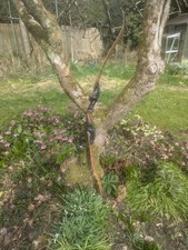 Hoyt buffalo 35lb for sale  SEVENOAKS