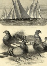 1872 illustrated london for sale  BLYTH
