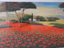 Serigrafia toscana mario usato  Carpi