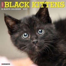 Just black kittens gebraucht kaufen  Versand nach Germany