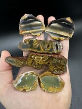 Hart mountain jasper for sale  Gresham