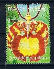 3916 orchid oncidium d'occasion  Expédié en Belgium