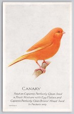 Postcard canary advertisement for sale  Winter Park