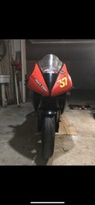 Carene cbr 600 usato  Orvieto