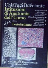 Chiarugi bucciante istituzioni usato  Italia