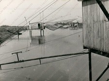 1972 lido degli usato  Cremona