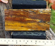 Petrified wood endpiece for sale  Jacksonville