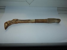 Victorian taxidermy deer for sale  HENLEY-ON-THAMES
