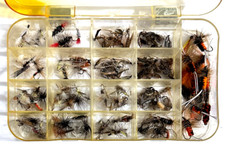 150 mixed trout for sale  Tulsa
