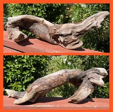 Driftwood natural freshwater for sale  Granite Bay