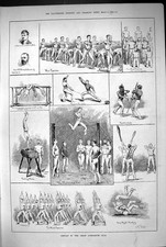Old 1883 display for sale  UK