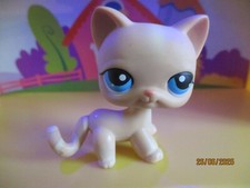 Petshop european cat d'occasion  Expédié en Belgium