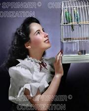 Elizabeth taylor parakeets for sale  Mandeville