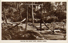Walton firs scout for sale  FORDINGBRIDGE