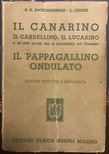 Aschenbrenner canarino cardell usato  Italia
