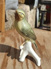 Karl ens oiseau d'occasion  Metz-