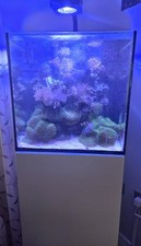 Red sea max for sale  HERNE BAY