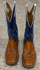 Anderson bean horse for sale  Omaha