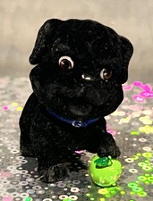 Puppy pocket black for sale  Northampton