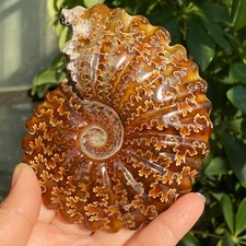 336g top natural d'occasion  Expédié en Belgium