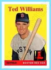 Ted williams custom for sale  Simi Valley