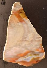 Petrified wood lapidary for sale  Redwood City