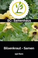 Schwarzes bilsenkraut hyoscyam gebraucht kaufen  Schwabach