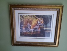 Wading tiger stephen for sale  LEOMINSTER