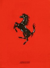 ferrari 310 usato  Italia