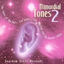 Primordial tones 2cd gebraucht kaufen  Berlin