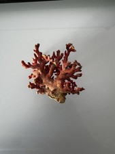 100 natural raw for sale  Olympia