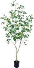 Bellacat artificial ficus for sale  San Francisco