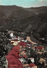 Cartolina lisio panorama usato  Milano