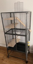 Large tier rodent for sale  SWINDON