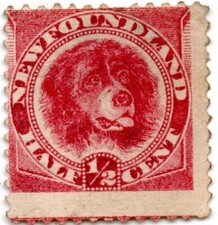 Queen victoria newfoundland for sale  BRISTOL