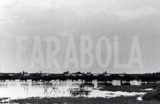 Vintage camargue paesaggio usato  Roma