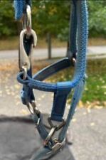 horse halter mini for sale  Portland