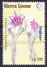 Usado, Serra Leoa 1995 MNH, Flores, Dogbane, Mata Cachorro comprar usado  Enviando para Brazil