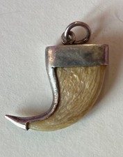 Pendentif griffe lion d'occasion  Mainvilliers