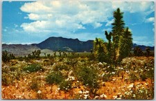 California desert landscape d'occasion  Expédié en Belgium