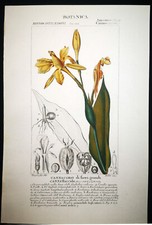 1831 turpin incisione usato  Urbino